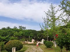 -鹦鹉寺公园