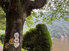 -秦岭终南山世界地质公园翠华山景区