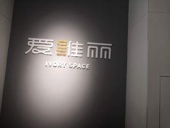 -爱维丽
