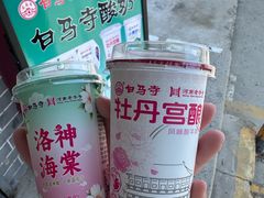 -洛阳白马寺