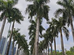-顺峰山公园