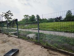 -菊园百果园