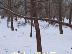 -森林公园(尖草坪区)