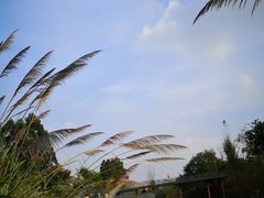 -白鹭湾湿地公园