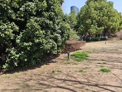 -河海大学(江宁校区)