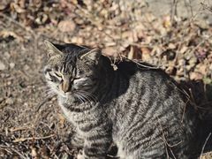 -北京西山国家森林公园