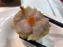 虫草花鲜虾烧卖-明珠海港大酒店