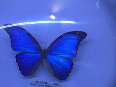 -吉林省自然博物馆