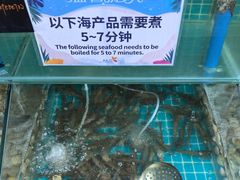 -渔家火锅·海鲜自助餐·演艺(亚龙湾天域酒店)