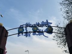 -桃花堤公园
