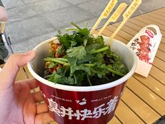 -黑色经典臭豆腐·湖南特产(步行街店)