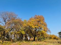 -北京西山国家森林公园