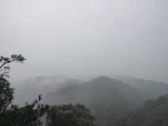 -九龙江国家森林公园