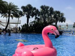 -深圳大梅沙京基洲际度假酒店