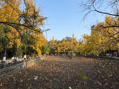 -四川大学(华西校区)