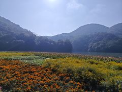 -广州市石门国家森林公园