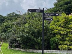 -济州森林小火车生态公园