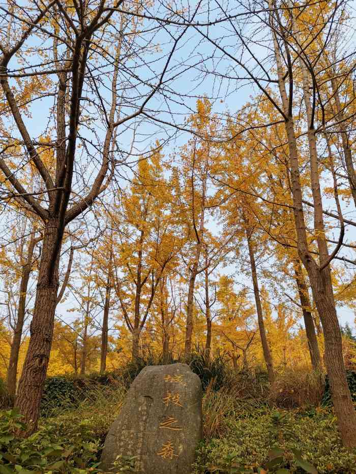 黄兴绿地-"98黄兴绿地9802很大02 03也很."-大众点评移动版