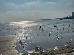 -青岛海滨风景区