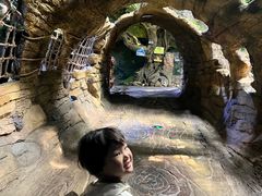 -多彩贵州城极地海洋世界