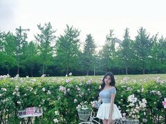 -南京眼步行桥