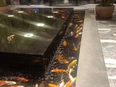 -弘安丽水温泉酒店