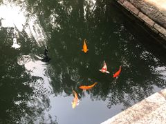 -春风习习