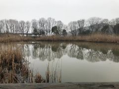 -西湖风景区-江洋畈生态公园
