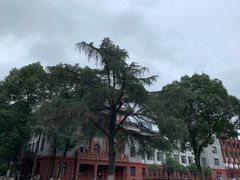 -四川大学(望江校区)