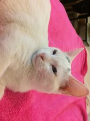 -尚美日式美甲美睫工作室