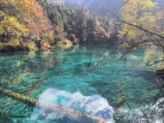 -如意林卡藏餐吧 (九寨沟店)