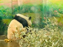 -天津市动物园