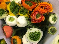 -双季花艺园艺市场(浦东店)