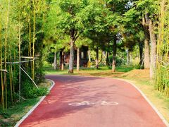 -艾溪湖湿地公园