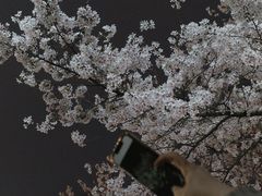 -龙美术馆(西岸馆)
