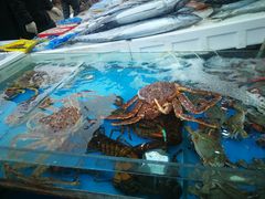 -济南海鲜大市场