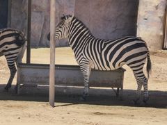 -鄂尔多斯野生动物园
