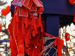 -信号山公园
