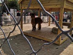 -长白岛森林公园