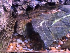 -上海海洋水族馆