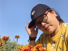 -汉长安城未央宫国家考古遗址公园