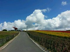 -东部华侨城