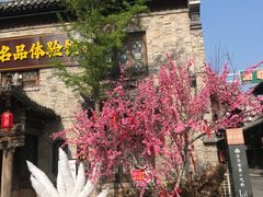 -青州古城