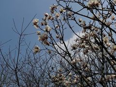 -中国天府农业博览园