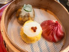 -随堂里