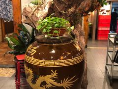 -七菜馆·东北菜·蒸饺(文体路店)