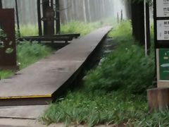 -黄海国家森林公园