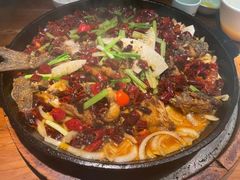 -老板恋上鱼(振华商厦店)