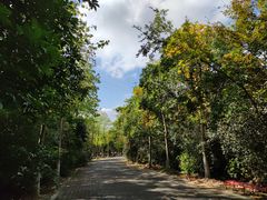 -上海海湾国家森林公园