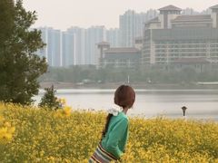-九龙湖公园